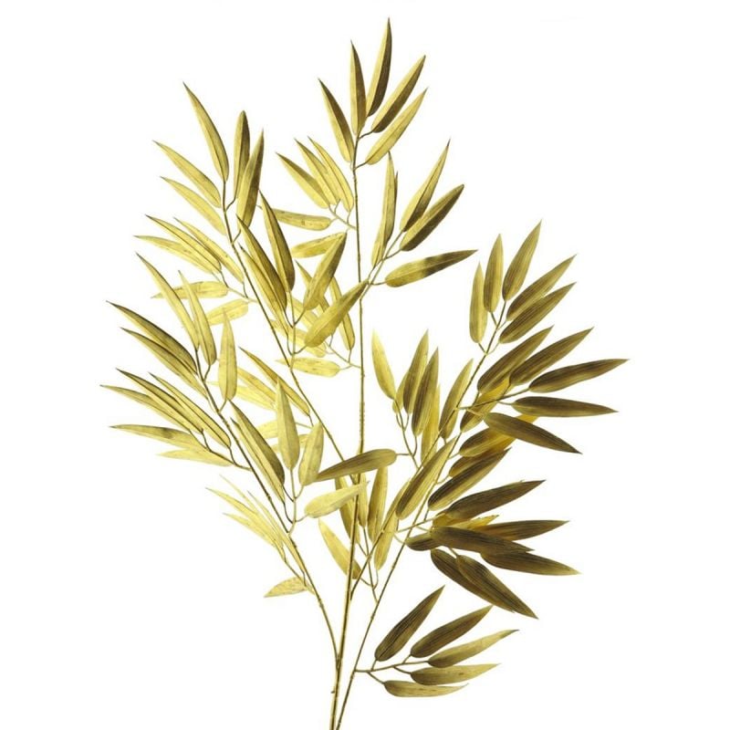 Kunsttak Bamboo