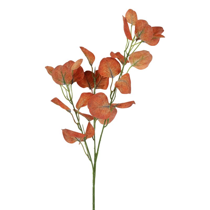 Kunstblad Eucalyptus bruin afbeelding