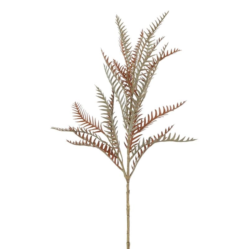 Kunstblad Grevillea afbeelding