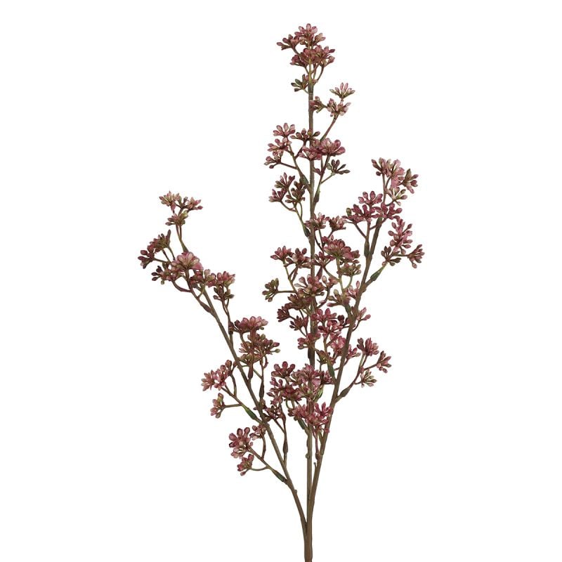 Kunsttak Prunus afbeelding