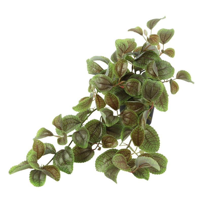 Kunst-hangplant Perilla afbeelding