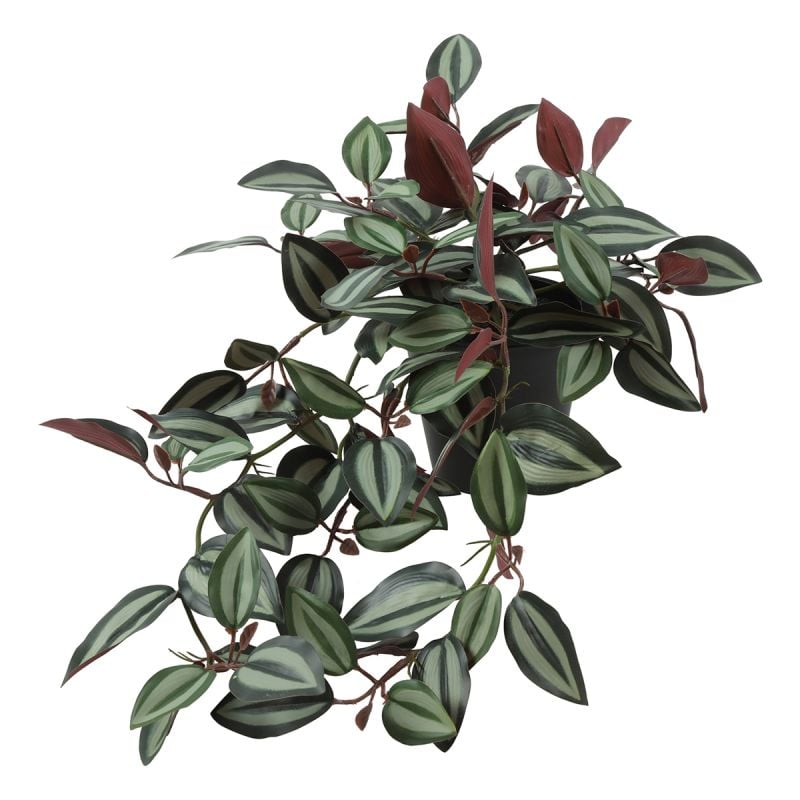 Kunst-hangplant Trade afbeelding