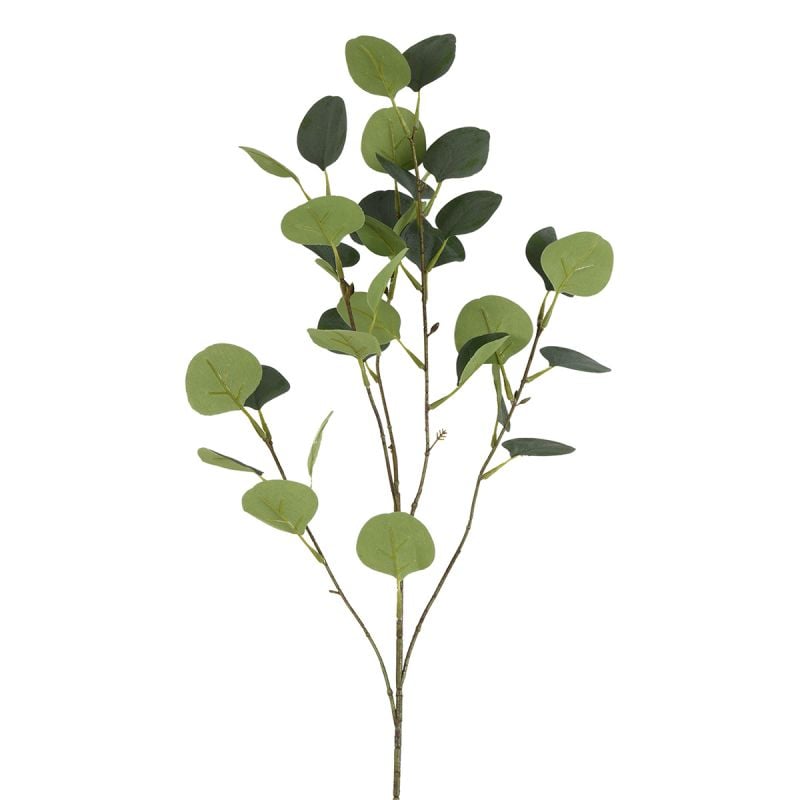 Kunsttak Eucalyptus afbeelding