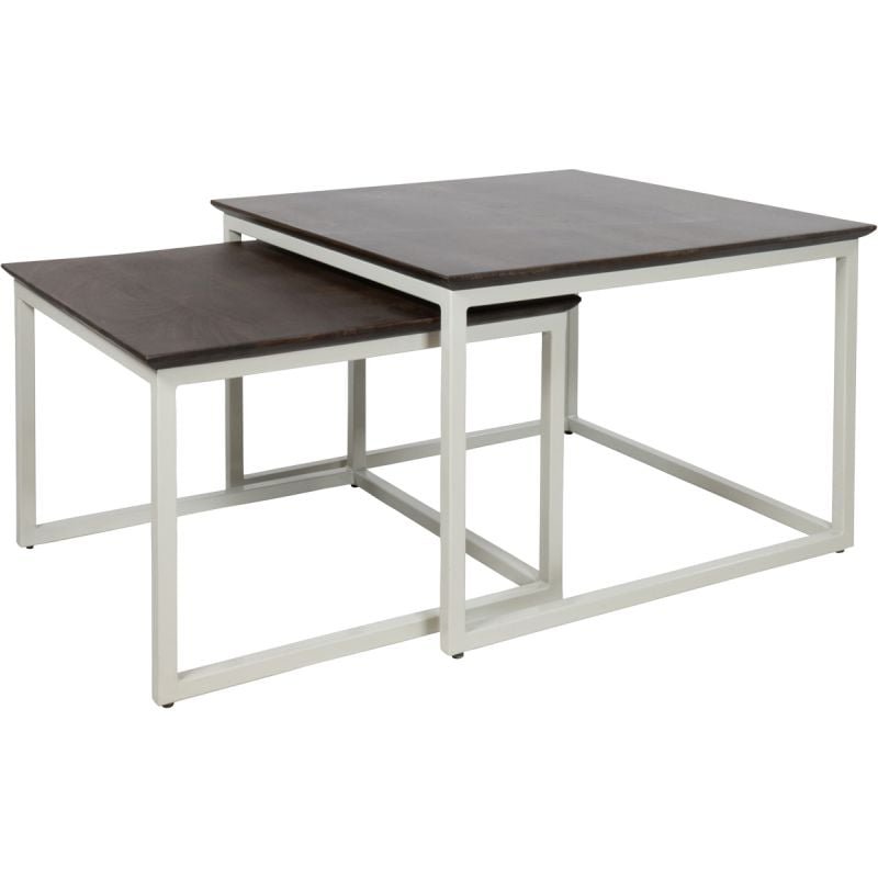 Budget Home Store Salontafel Steel set van 2